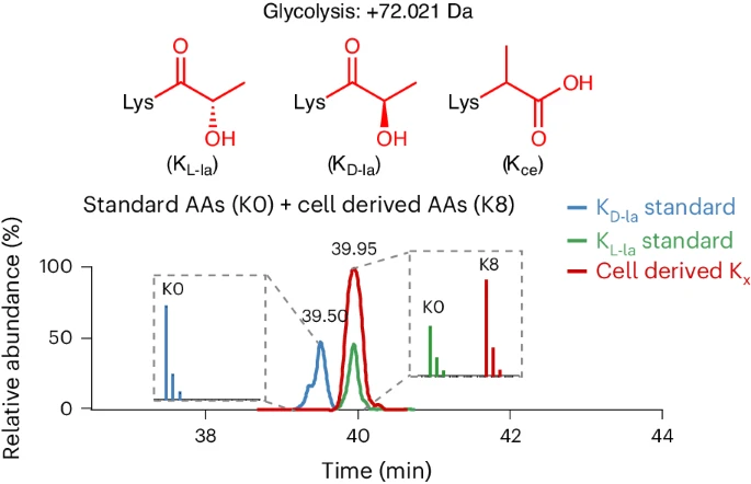 NCB-2024-ToC