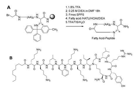 Figure: (A) General Scheme for the synthesis of C-locked peptides. (B) An example of a C-locked BP214 analog